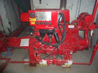 /album/fotogaleria-quienes-somos-/dsc00975-jpg/